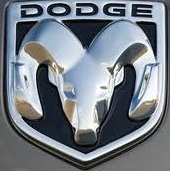 doge22.JPG