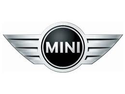 mini c 259 x 194